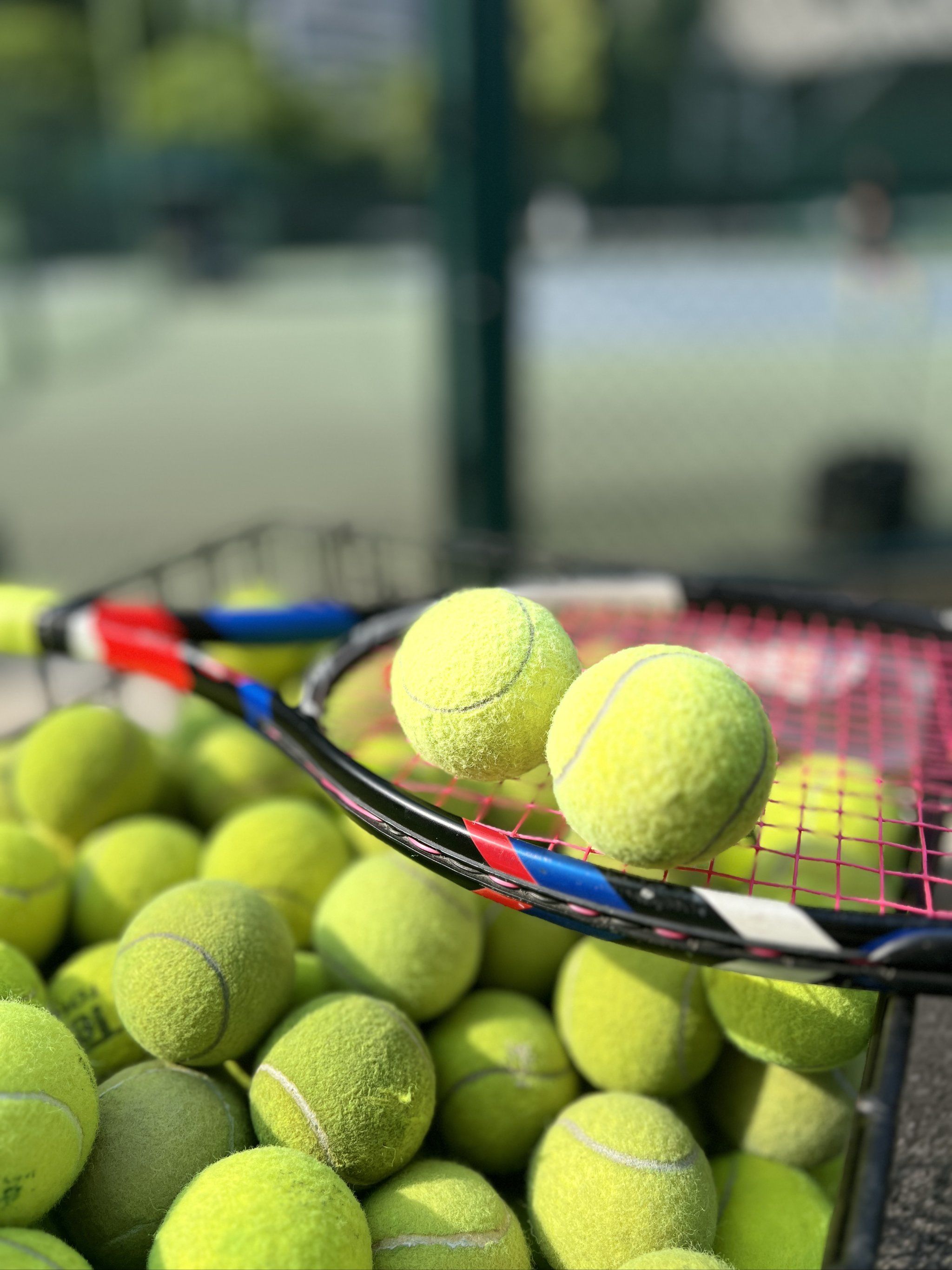 为什么西蒙 为什么西蒙