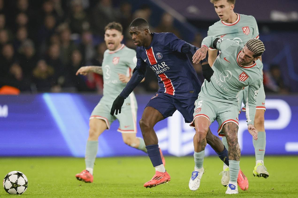 球种占比 球种占比